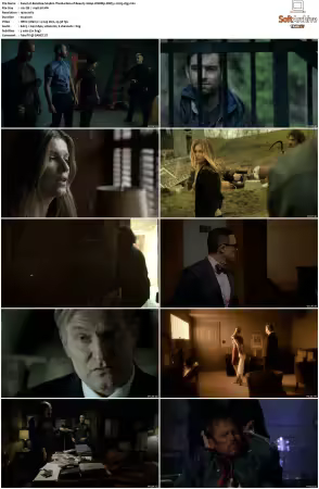 Banshee S01 S04 1080p WEBRip DDP5.1 H265-d3g