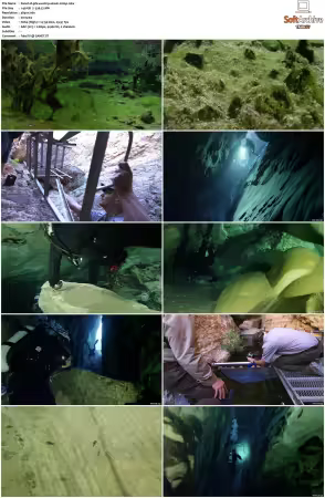 Underwater Wonders of the National Parks S01 2160p WEB x264-PFa