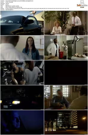 Bosch S01 S07 720p 10bit WEBRip x265-budgetbits