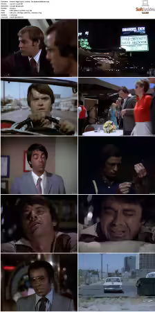 Vegas 1978 S01 S03 480p DVDRip HEVC AAC 2 0 DreadParrot
