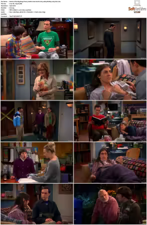 The Big Bang Theory S01-S12 German DL AC3 1080p BluRay x265-FuN