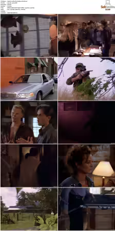 Walker Texas Ranger S01-S09 DVDRip XviD-Mixed
