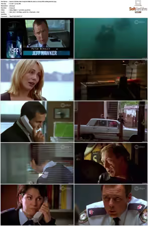 Water Rats S01-S06 WEB-DL AAC2.0 H264-BTN