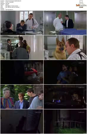 Kommissar Rex S01-S10 German 1080p HDTV x264-OMGtv