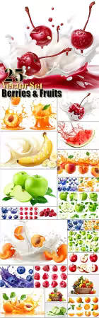 Berries, fruits vector collection