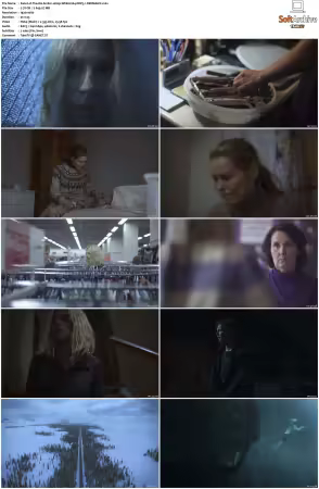 The OA S01 S02 1080p WEB H264 DDP5.1-DERMAGiC