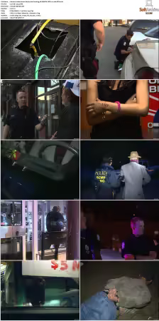 Under Arrest S01-S08 NF WEB-DL DDP2.0 x264-BTW