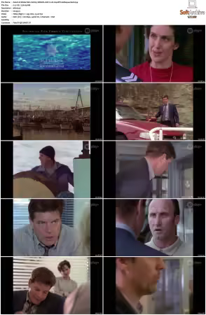 Water Rats S01 S06 WEB-DL AAC2.0 H264-BTN