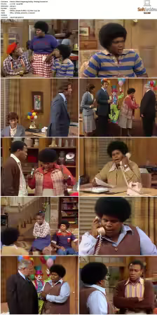 Whats Happening S01-S03 DVDRip XviD-NGP