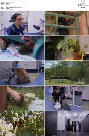 Wildlife ER S01S02 1080p WEB h264-BETTY