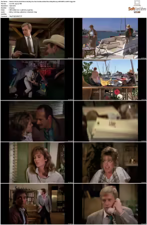 Simon and Simon S01-S08 1080p Blu-ray 10Bit DDP2.0 HEVC-d3g
