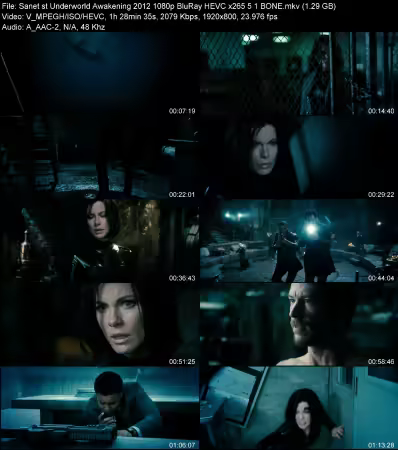 Underworld Awakening 2012 1080p BluRay HEVC x265 5.1 BONE