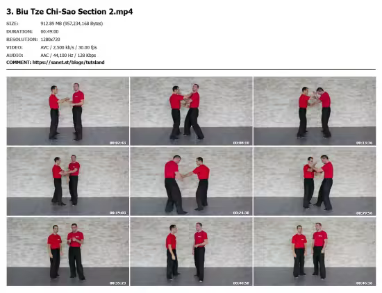 WingTsun Technician Level 2