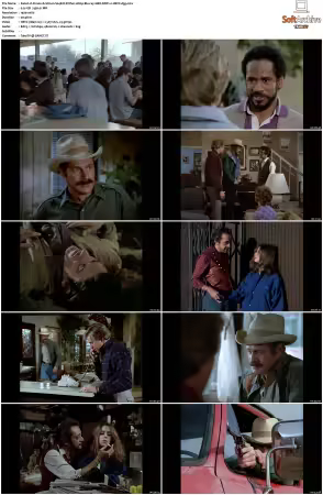 Simon and Simon S01-S08 1080p Blu-ray 10Bit DDP2.0 HEVC-d3g