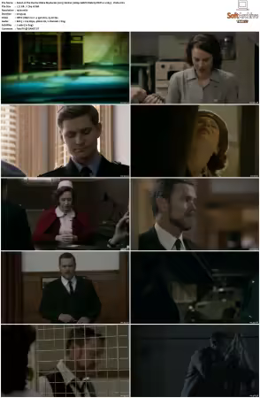 The Doctor Blake Mysteries 2013 S01 S05 1080p AMZN Webrip DDP2 0 x265-Vialle