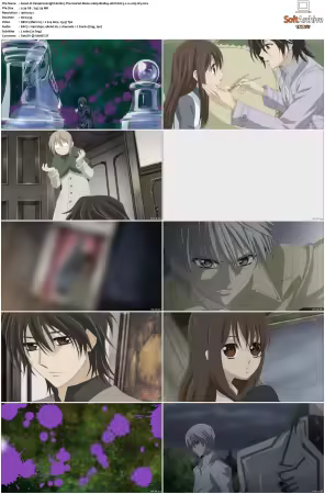 Vampire Knight 2008 S01 1080p BluRay 10bit EAC3 2.0 x265-iVy