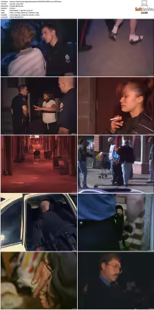 To Serve and Protect aka Under Arrest S01 S08 NF WEB-DL DDP2.0 x264-BTW