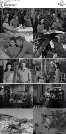 Wanted Dead or Alive 1958 S01 S03 DVDRip XviD-NGP