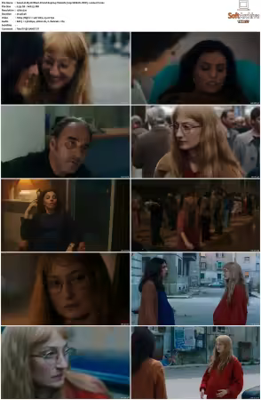 My Brilliant Friend S01 S04 ITALIAN MAX 720p WEB-DL DDP5.1 x264-iYi