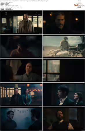 Warrior 2019 S01 S03 1080p WEBRip DDP5.1 H265-d3g