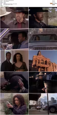 Walker Texas Ranger S01-S09 DVDRip XviD-Mixed