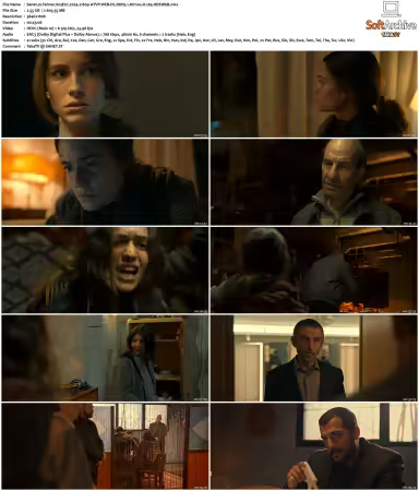 Tehran S03 2024 2160p ATVP WEB-DL DUAL DDP51 Atmos H265-HDSWEB