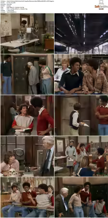 Welcome Back Kotter S01-S04 1080p WEBRip 10Bit DDP2.0 HEVC-d3g