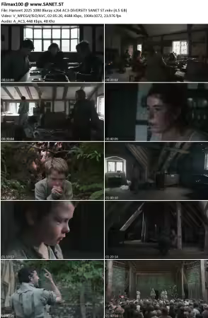 Hamnet 2025 1080p Bluray x264 AC3-DiVERSiTY
