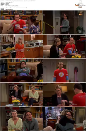 The Big Bang Theory S01-S12 German DL AC3 1080p BluRay x265-FuN