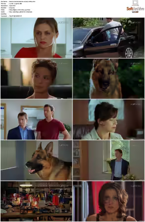 Kommissar Rex S01-S10 German 1080p HDTV x264-OMGtv