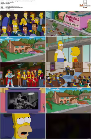 The Simpsons S30 1080p Web-DL x264-OFT