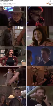 Walker Texas Ranger S01-S09 DVDRip XviD-Mixed