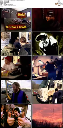 Viva La Bam 2003 S01 S05 DVD AAC H264 PiTBULL