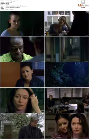Waking The Dead S01-S09 DVDRip XviD-Mixed