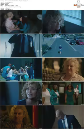 Wentworth S01 S09 1080p WEB h265-d3g