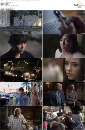 Bling Ring Hollywood Heist S01 2022 Complete 1080p Netflix WEB-DL AVC DDP 5.1-DBTV