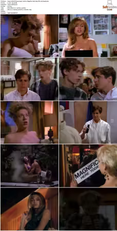 Weird Science 1994 S01 S05 480p DVD x265 HEVC 10bit AAC 2.0 Panda