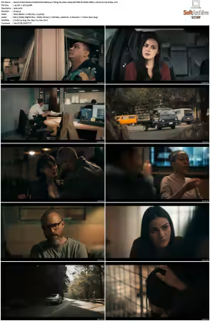 Dark Desire S01 S02 1080p NF WEB-DL DUAL DDP5 1 H 264-N1H4L