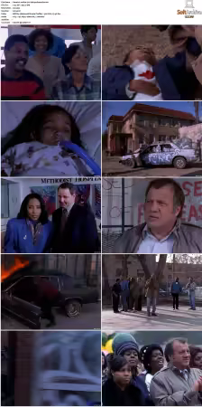 Walker Texas Ranger S01-S09 DVDRip XviD-Mixed