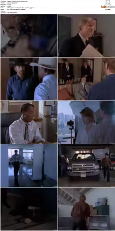 Walker Texas Ranger S01-S09 DVDRip XviD-Mixed