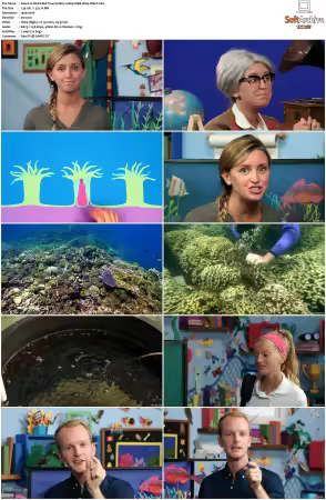 Weird But True S01 S03 1080p WEB H264-S