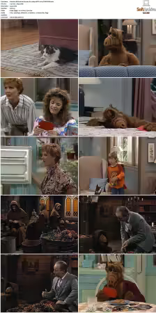 Alf S02 German DL 1080p HDTV x264-TVNATiON