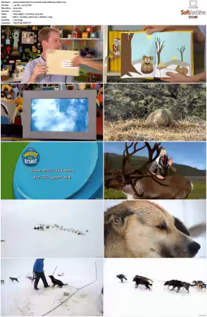 Weird But True S01 S03 1080p WEB H264-S