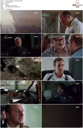 Kommissar Rex S01-S10 German 1080p HDTV x264-OMGtv