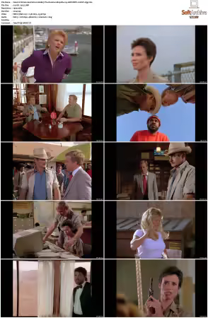 Simon and Simon S01-S08 1080p Blu-ray 10Bit DDP2.0 HEVC-d3g