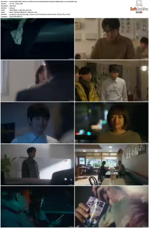 Why didnt I tell you a million times S01 1080p NF WEB-DL DD+20 x264-SH3LBY