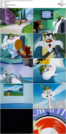 Animaniacs 1993 S01-S05 1080p UPSCALED DD 5.1 x265-EDGE2020