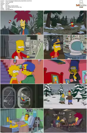 The Simpsons S29 1080p Web-DL x264-OFT