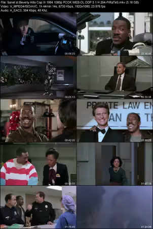 Beverly Hills Cop III 1994 1080p PCOK WEB-DL DDP 5.1 H264-PiRaTeS