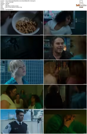 Wentworth S01-S09 1080p WEB h265-d3g